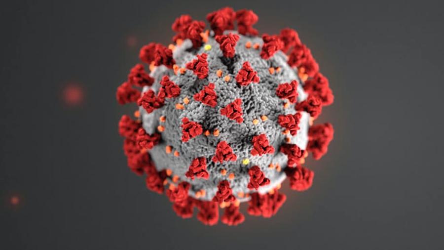 pandemia